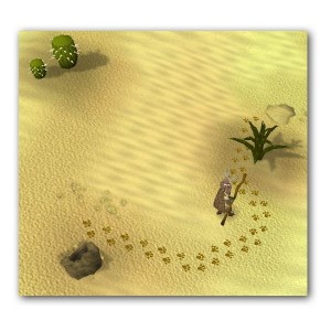 Desert Devil Tracking